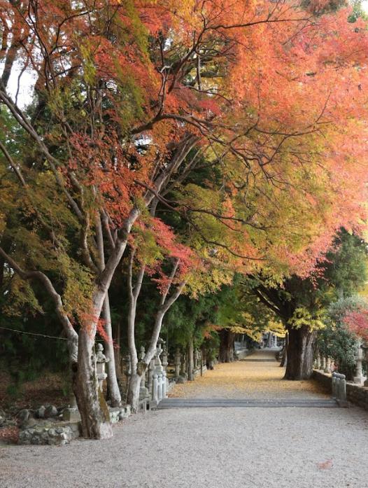 積田神社　紅葉